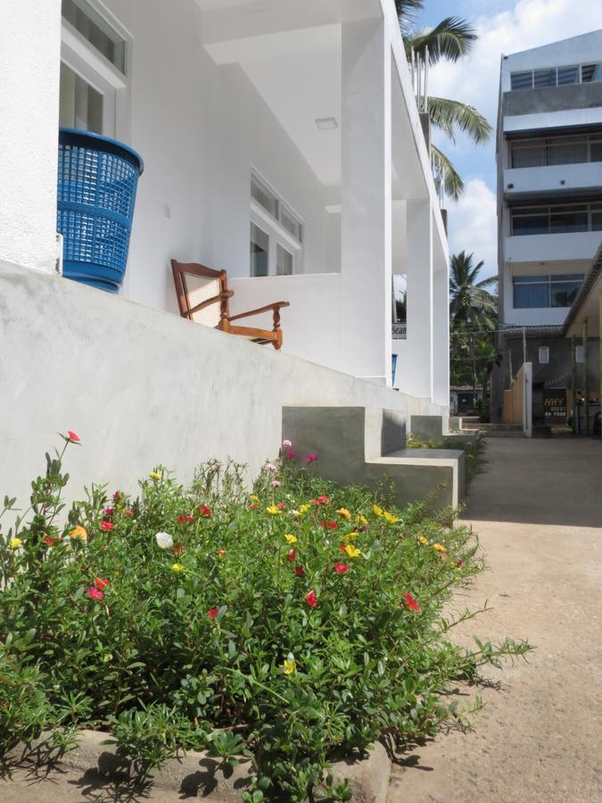 Mountain Wave Hotel And Surfshop Хикадува Екстериор снимка